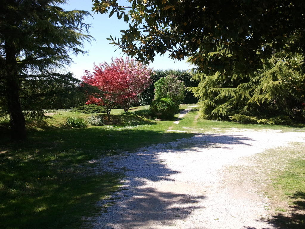 Al Campo Di Sotto Bed & Breakfast Buia Extérieur photo